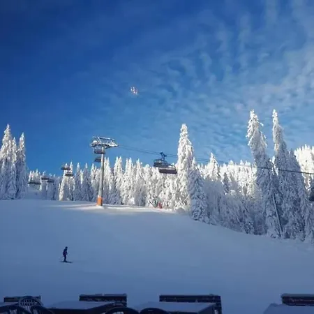 Ogorjelica * Jahorina