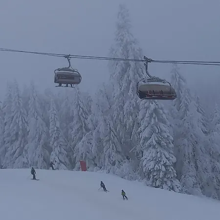 Ogorjelica Jahorina