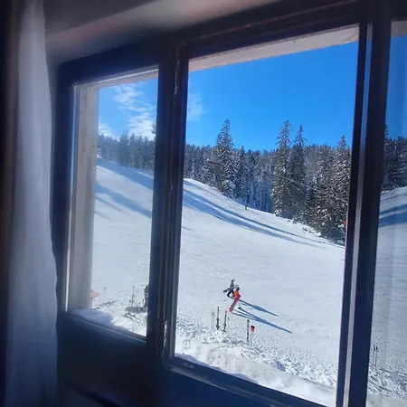 Ogorjelica * Jahorina