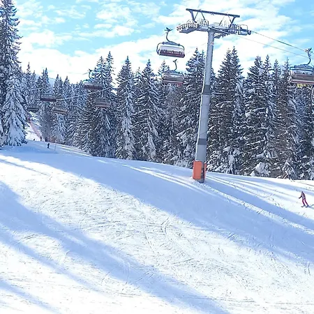 Ogorjelica