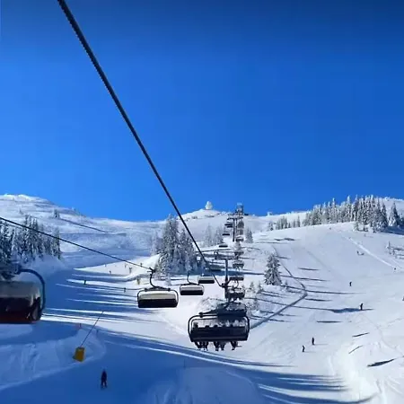 Ogorjelica