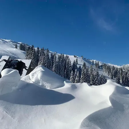 Ogorjelica Jahorina