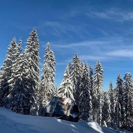 Ogorjelica * Jahorina