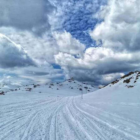Ogorjelica * Jahorina